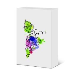 Pudełko składane Multicolor na 3 butelki